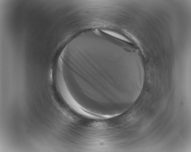 X0000067880067200605041844