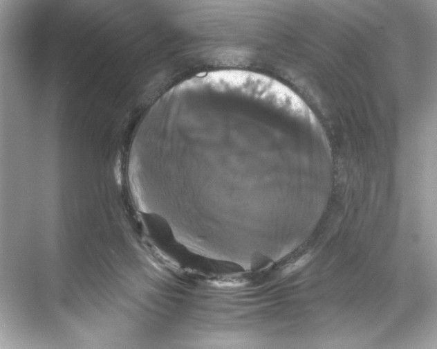 X0000067880069200605041845