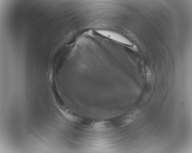 X0000067880072200605041845