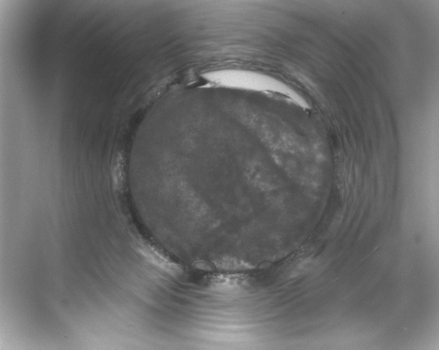 X0000067880077200605041845