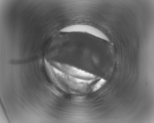 X0000067880081200605041845