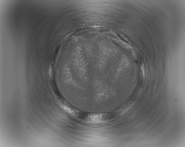 X0000067880084200605041845