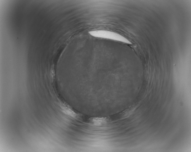 X0000067880085200605041845