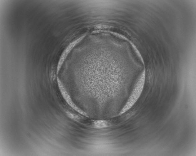 X0000067880091200605041845