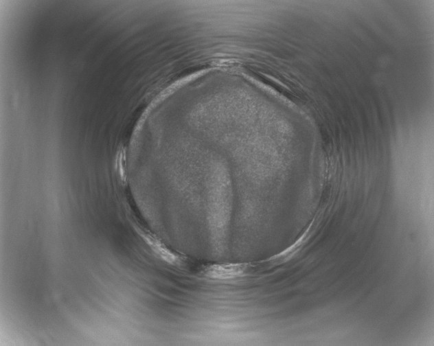 X0000067880094200605041845