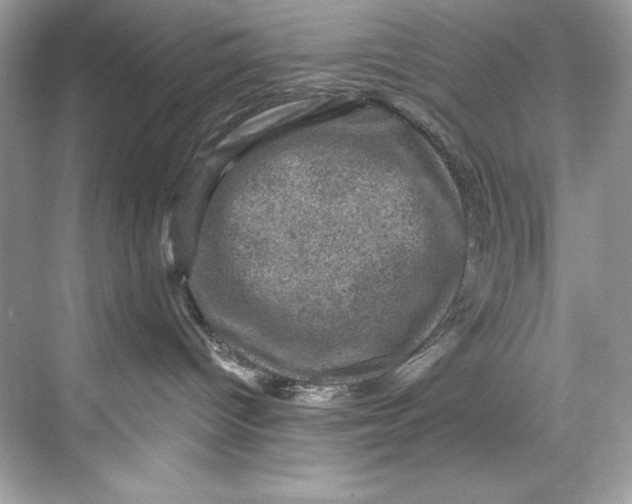X0000067880096200605041845