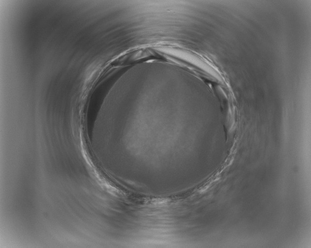 X0000067880097200605041844