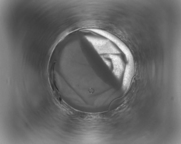 X0000067880099200605041844