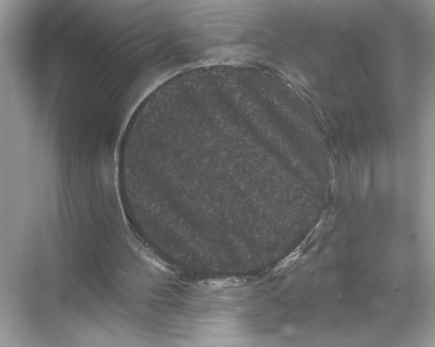 X0000067880100200605041844