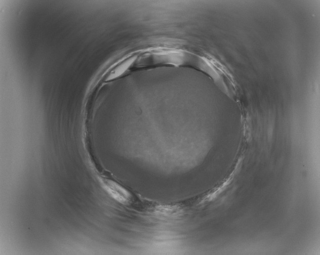 X0000067880101200605041844
