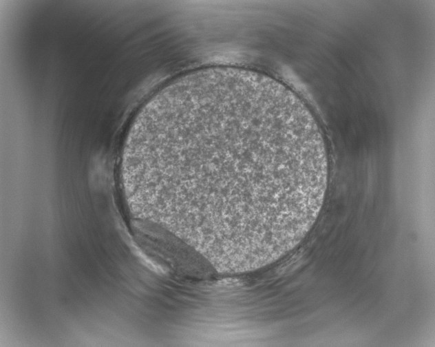 X0000067880106200605041844