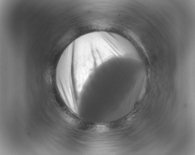 X0000067880114200605041844