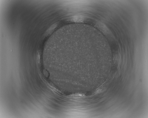 X0000067880120200605041844