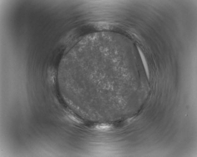 X0000067880125200605041844