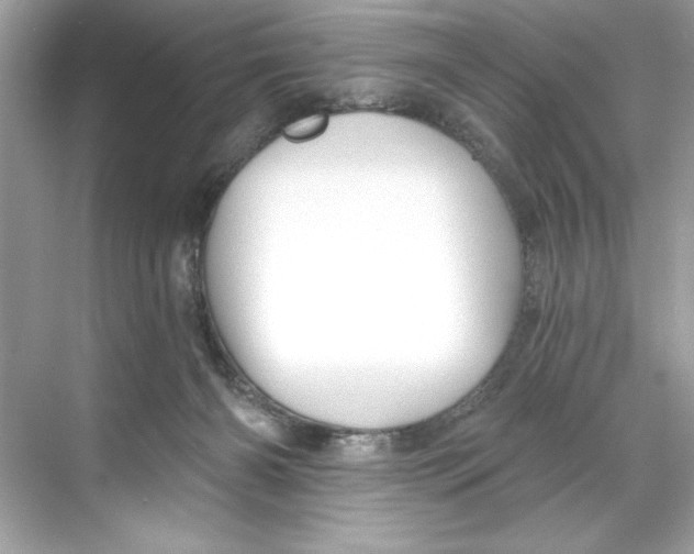X0000067880126200605041844