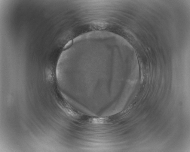 X0000067880134200605041844