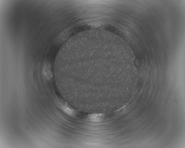 X0000067880136200605041844