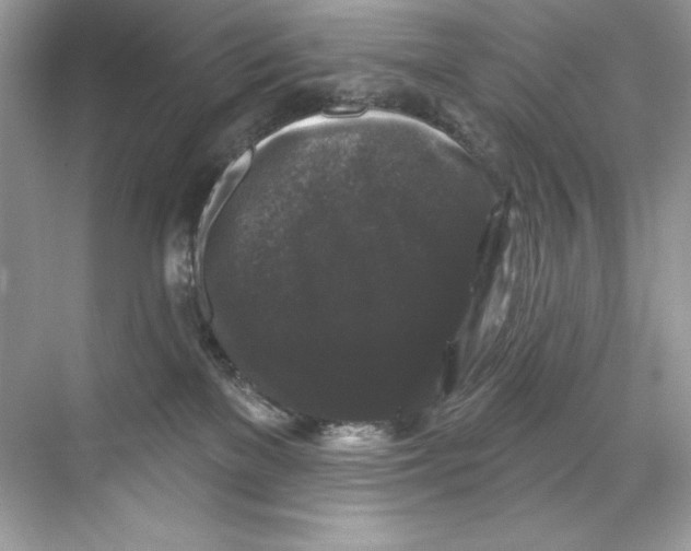 X0000067880137200605041843