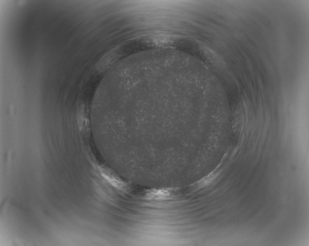 X0000067880140200605041843