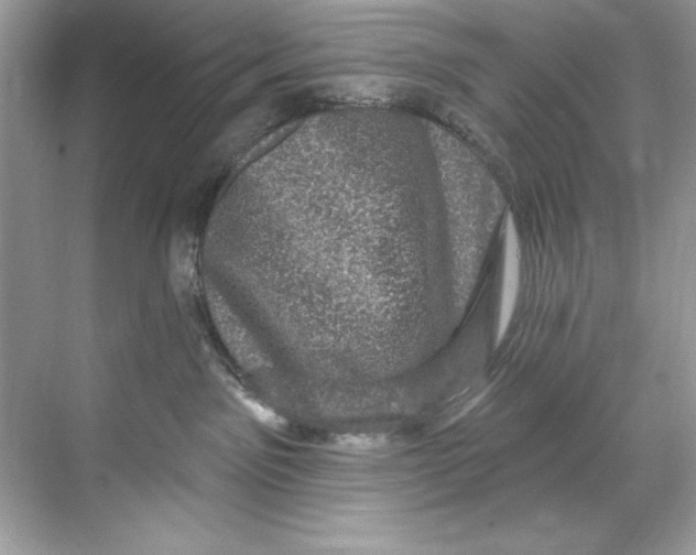X0000067880141200605041843