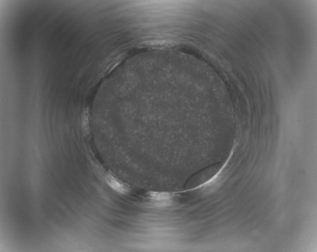 X0000067880144200605041843