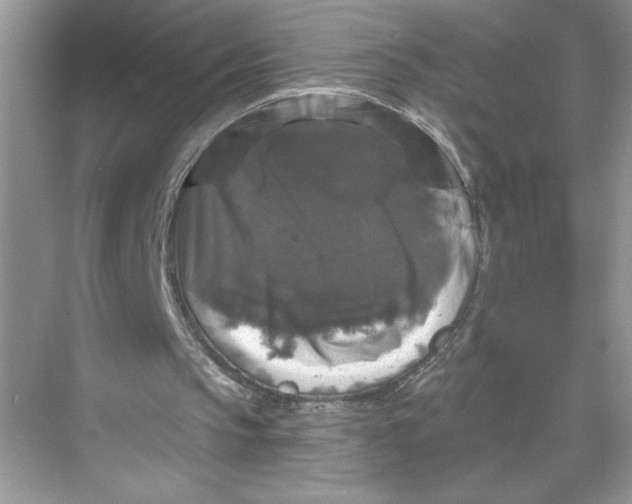 X0000067880145200605041843