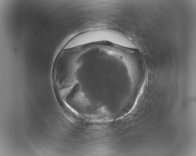 X0000067880147200605041843