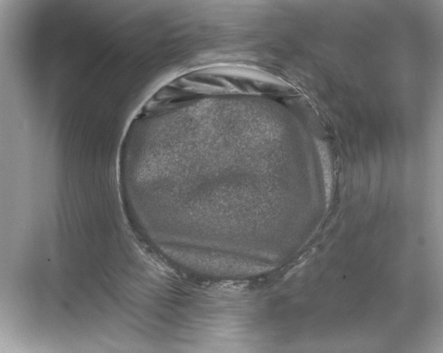 X0000067880148200605041843