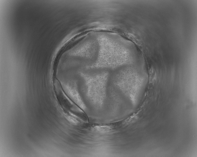 X0000067880150200605041843