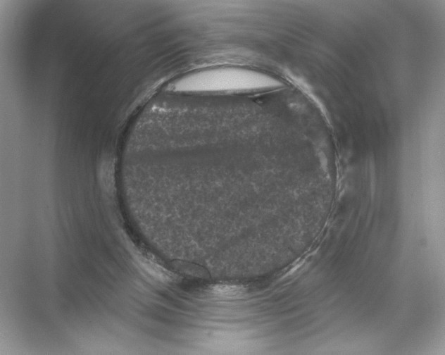 X0000067880154200605041843