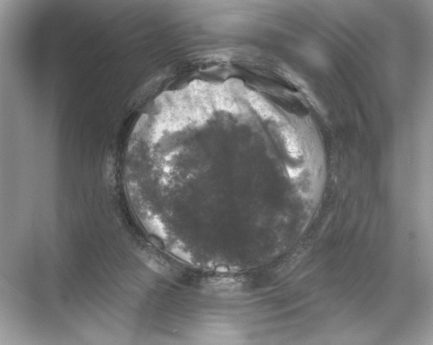 X0000067880161200605041843