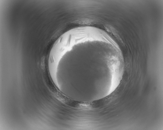 X0000067880167200605041843