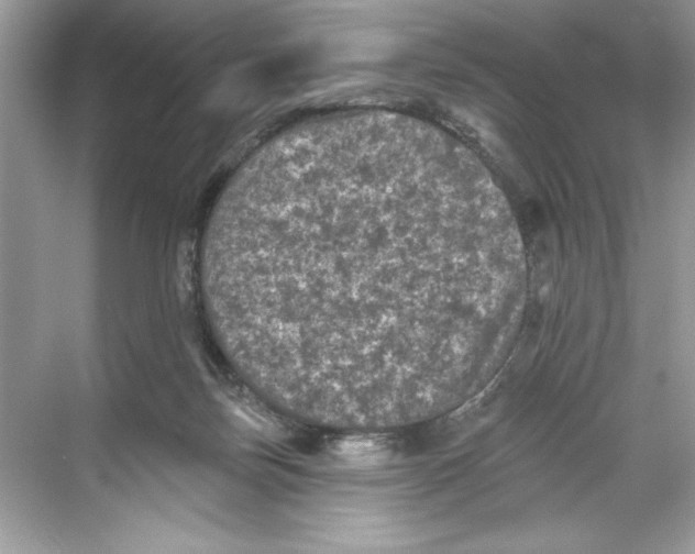 X0000067880171200605041843