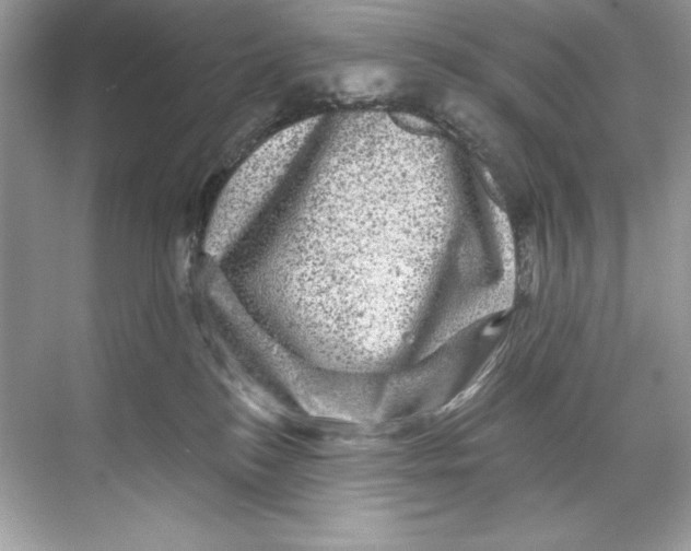 X0000067880184200605041843