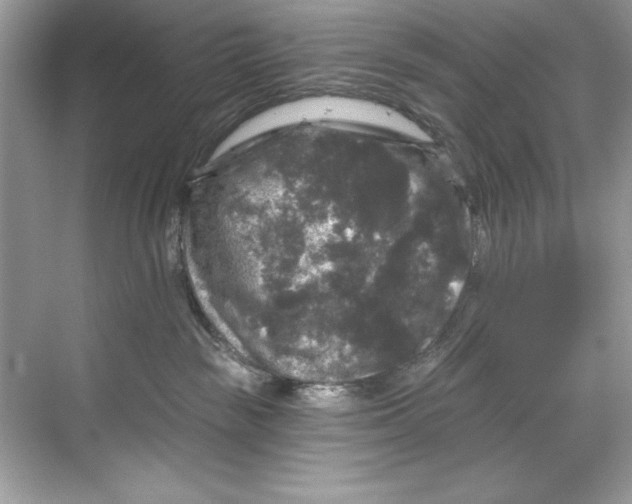 X0000067880189200605041843