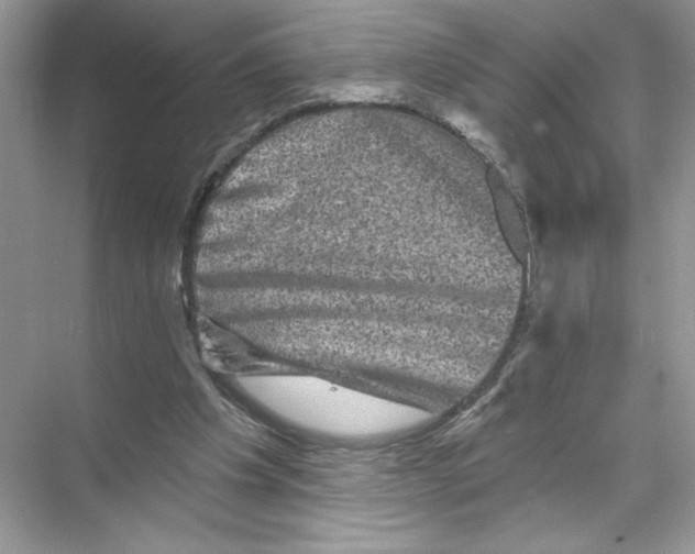 X0000067880201200605041842