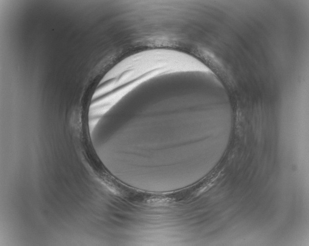 X0000067880202200605041842