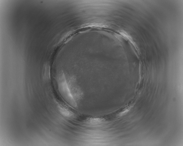 X0000067880205200605041842