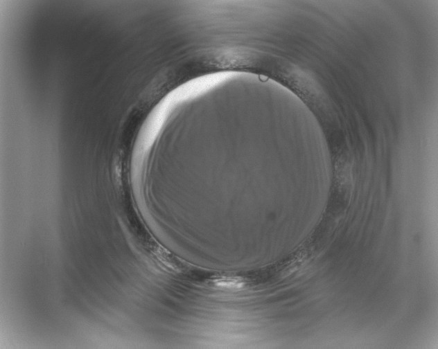 X0000067880214200605041842