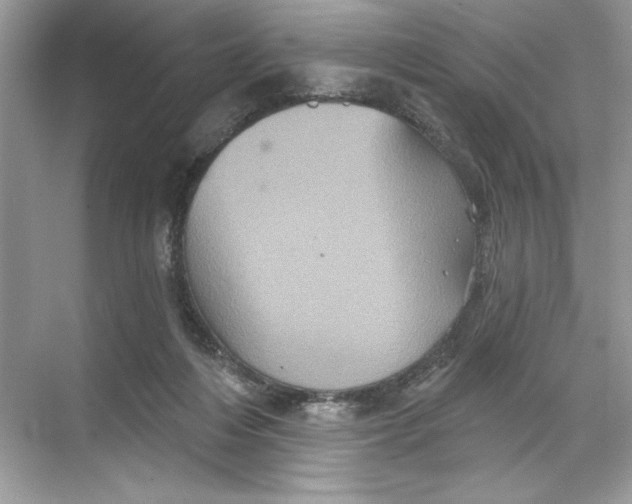 X0000067880216200605041842