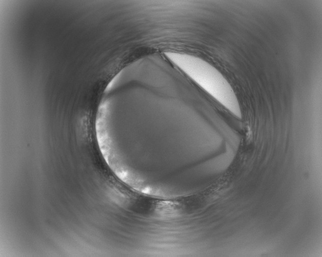 X0000067880222200605041842