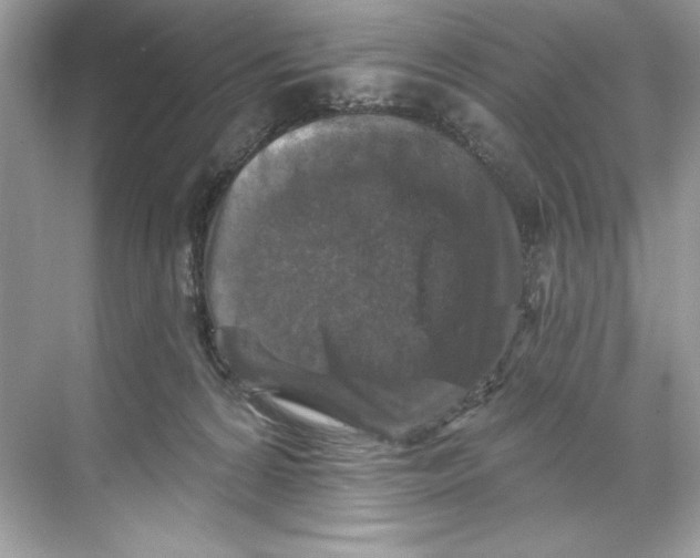X0000067880224200605041842