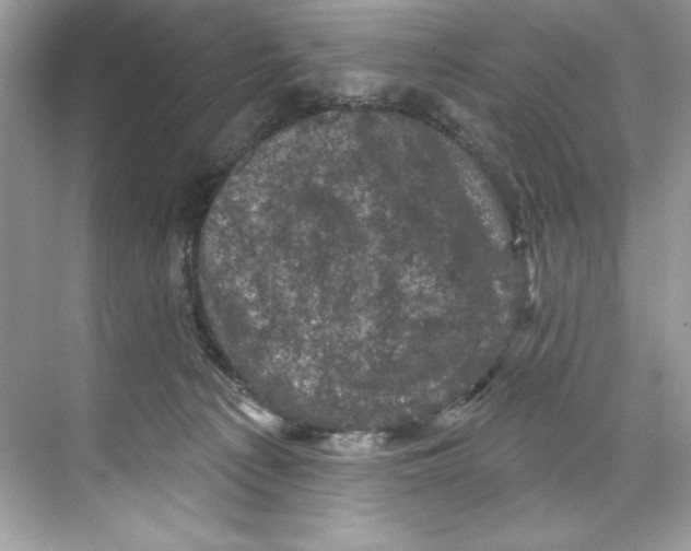 X0000067880225200605041842
