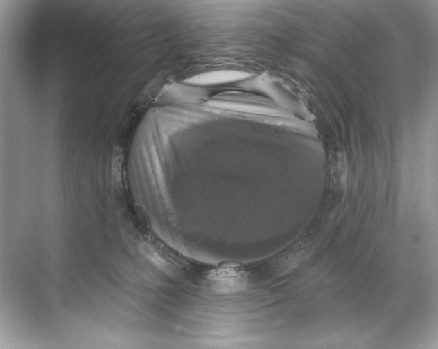 X0000067880231200605041842