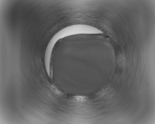 X0000067880233200605041842