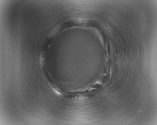 X0000067880235200605041842