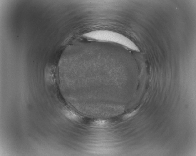 X0000067880237200605041842