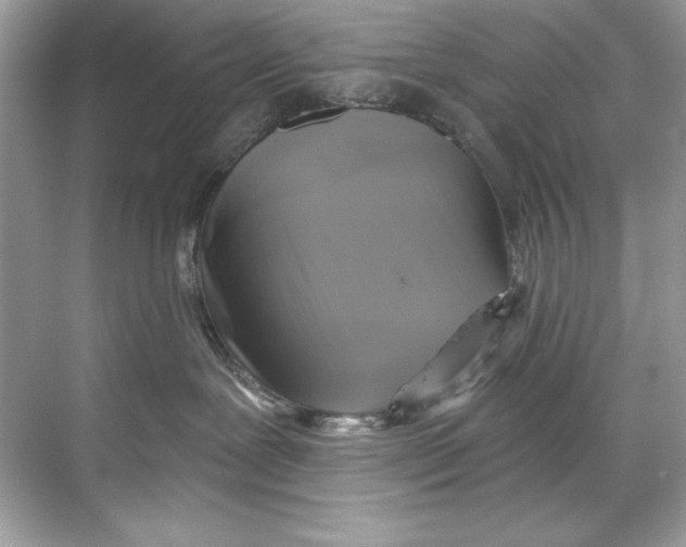 X0000067880239200605041842