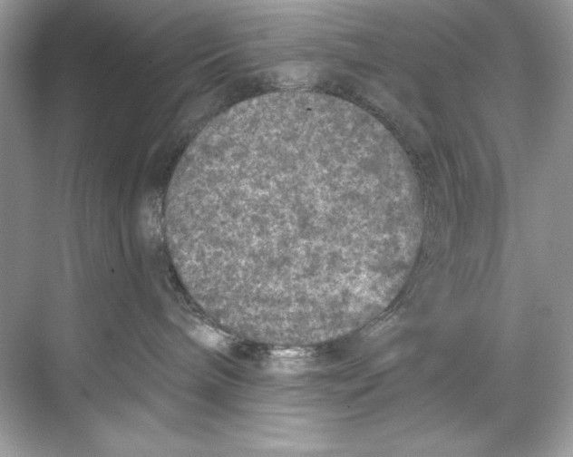 X0000067880240200605041842