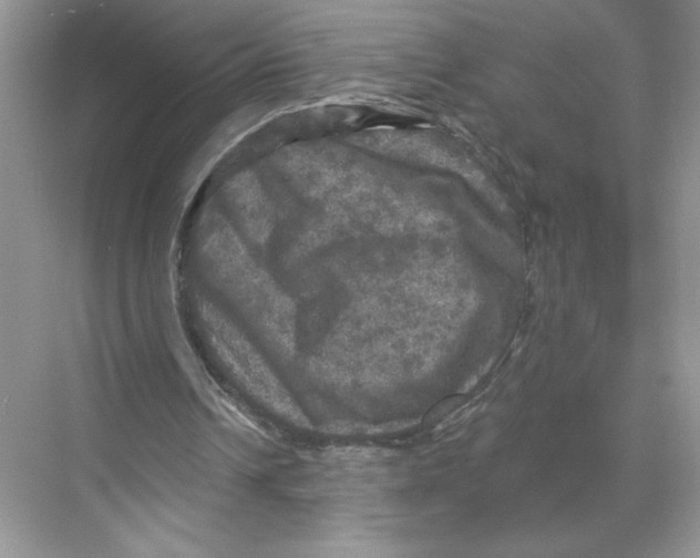 X0000067880242200605041841